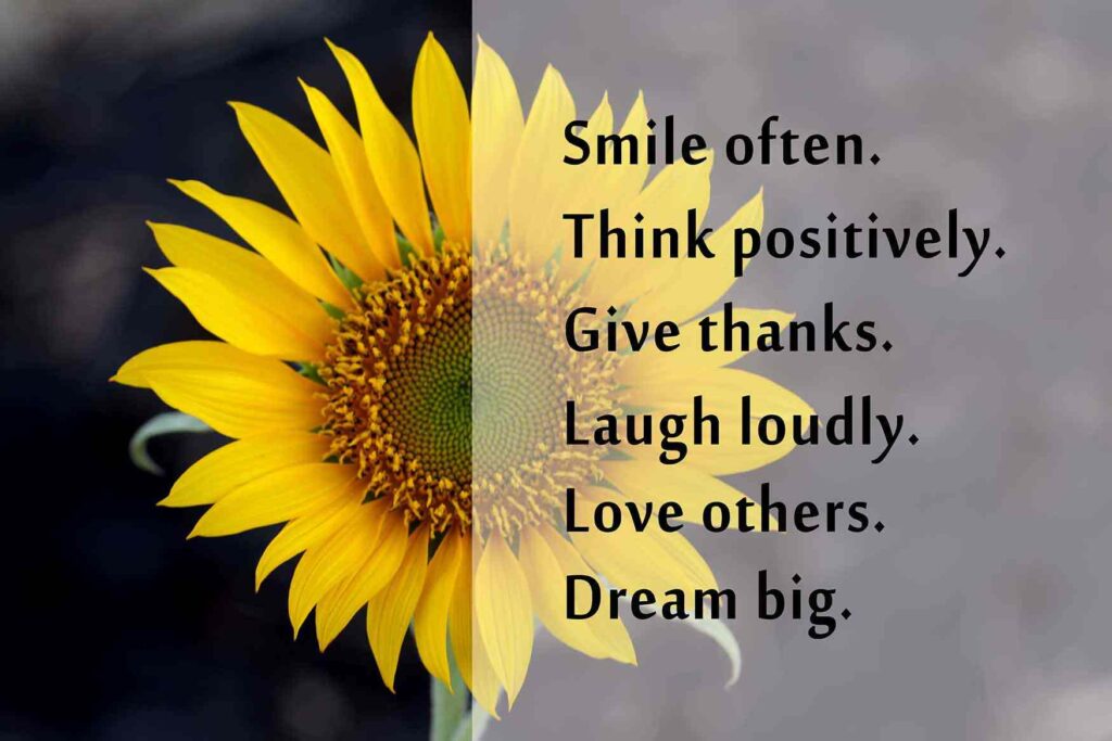 Sunflower photo w a quote: Smile often, think positively, laugh loudly, love others, dream big